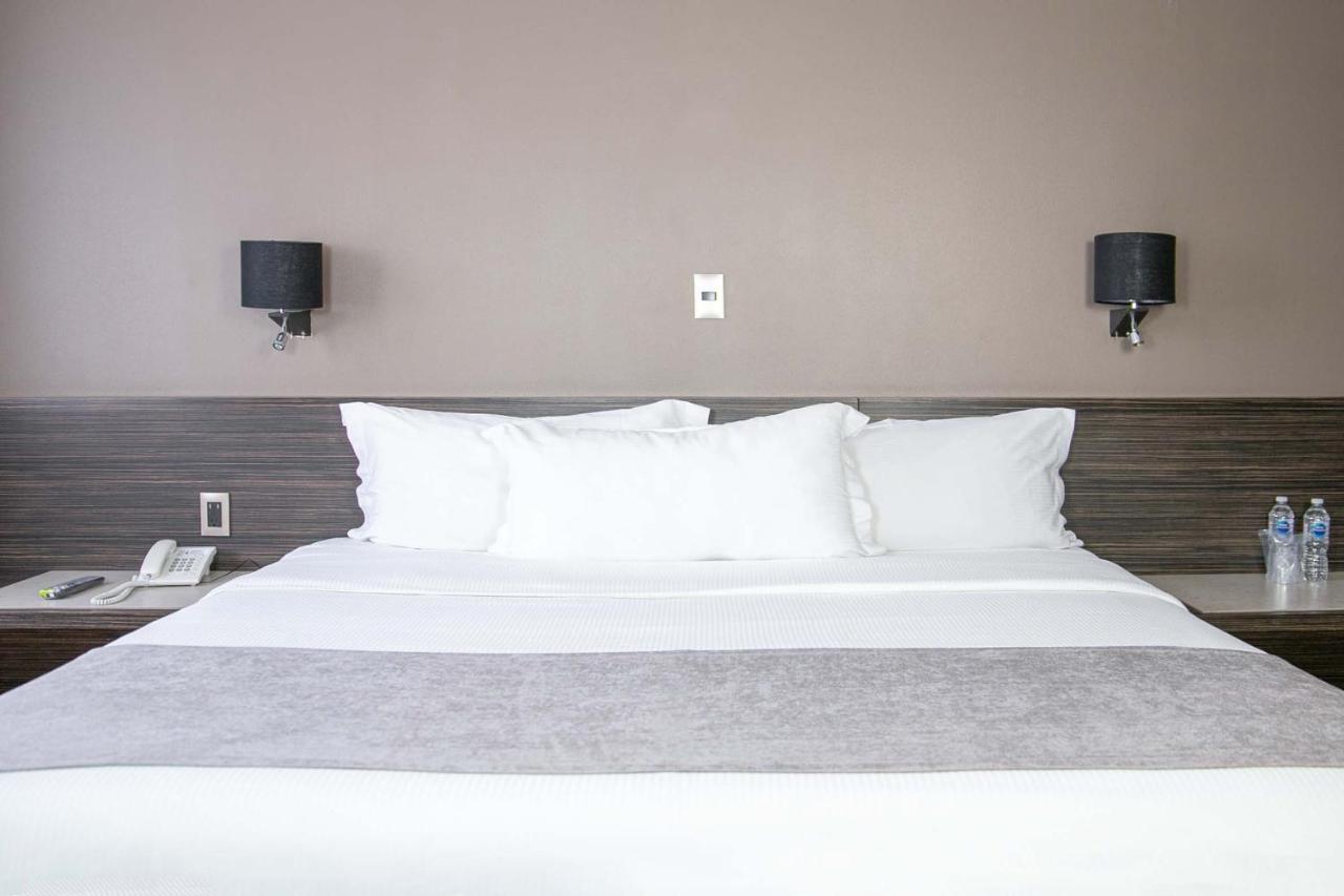 Hotel Brasilia Meksika Dış mekan fotoğraf